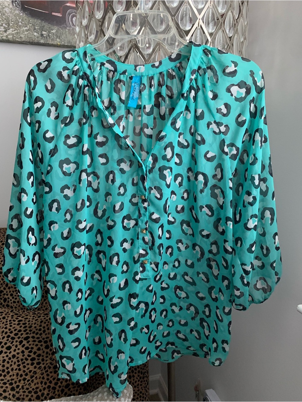 Francesca’s Boutique: Aqua Leopard Print Blouse